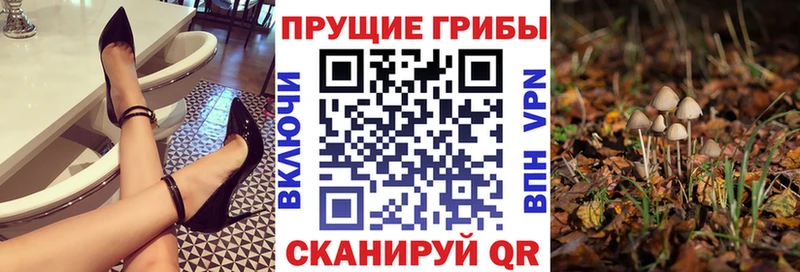 Галлюциногенные грибы MAGIC MUSHROOMS  Камешково 